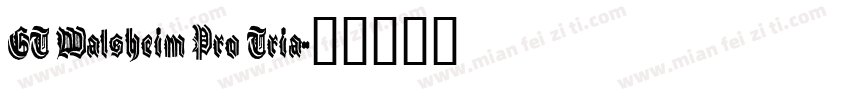 GT Walsheim Pro Tria字体转换